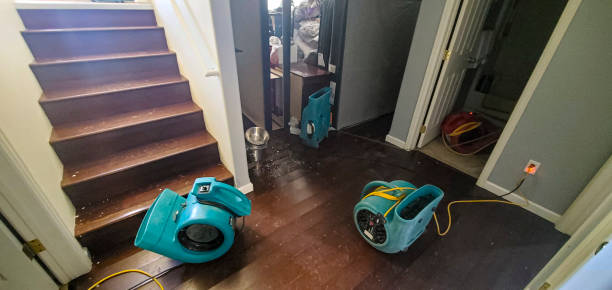 Best Water damage cleanup near me  in Baldwin, LA